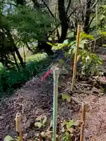 蚊里田八幡宮の動物