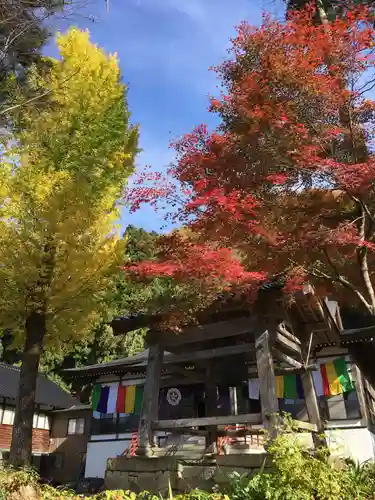 願慶寺のその他建物