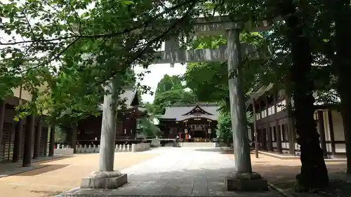熊野神社(東京都)