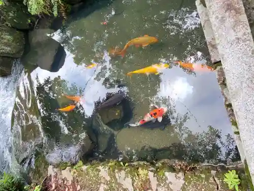 涌釜神社(栃木県)