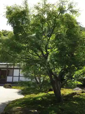 長壽寺（長寿寺）のその他建物