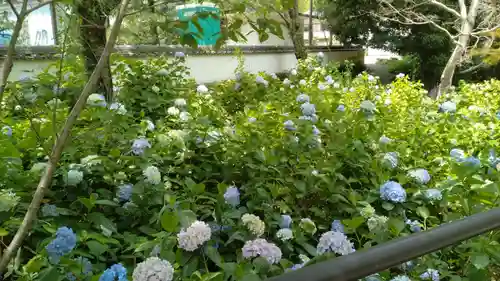 根来寺(和歌山県)