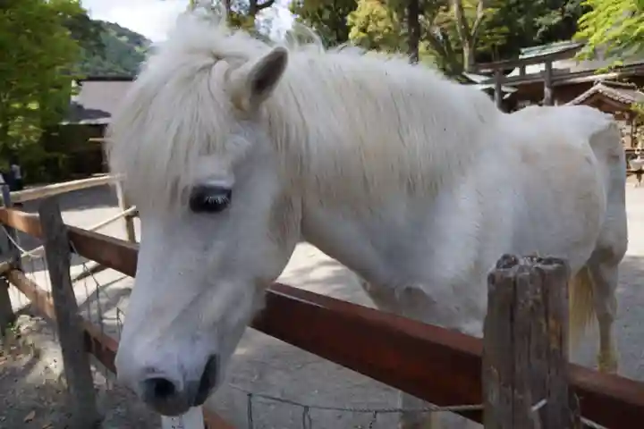 天河大辨財天社(奈良県)