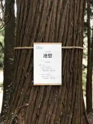 多賀神社の体験その他