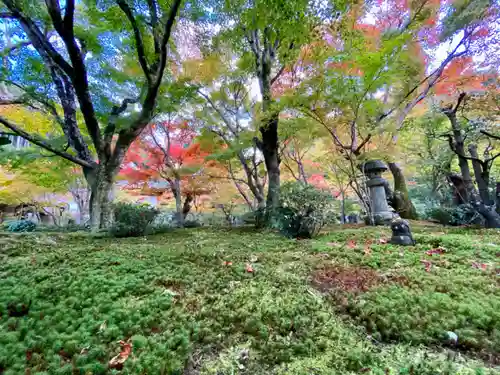 圓光寺(京都府)