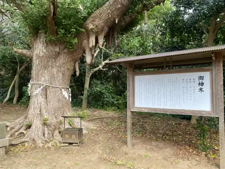 鎌数伊勢大神宮(千葉県)