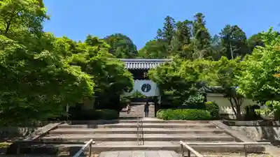 光明寺（粟生光明寺）のその他建物