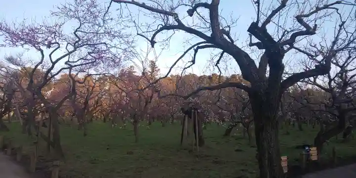 茨城縣護國神社の周辺