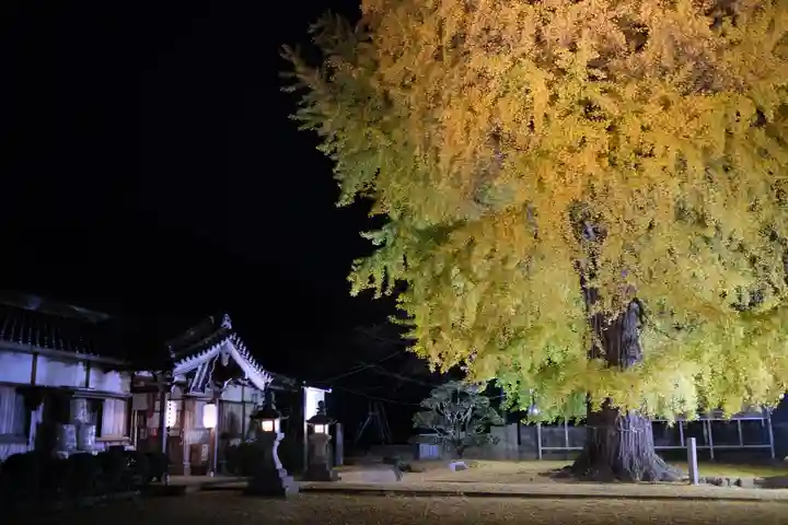 丹生酒殿神社のその他建物