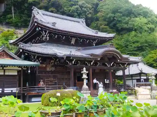 三室戸寺(京都府)