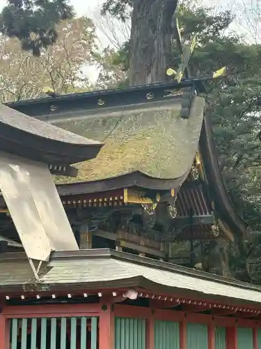 鹿島神宮(茨城県)