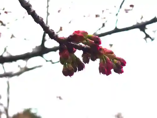 阿邪訶根神社(福島県)