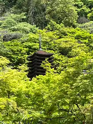 談山神社(奈良県)
