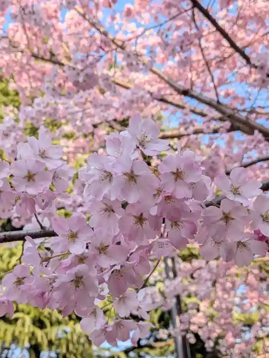 神明氷川神社(東京都)