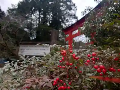 丹生川上神社（下社）(奈良県)