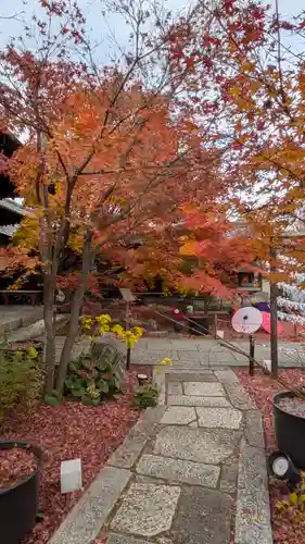 勝林寺(京都府)