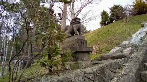 中富良野神社の狛犬