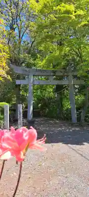 氷上神社の{uncategorized: "未分類", other: "その他", undefined: "問題あり", building: "その他建物", grave: "お墓", sacred_gate: "鳥居", guardian: "狛犬", statue: "像", buddha: "仏像", history: "歴史", nature: "自然", garden: "庭園", animal: "動物", pagoda: "塔", temizu: "手水舎", mountain_gate: "山門・神門", sanctuary: "本殿・本堂", subordinate: "末社・摂社", art: "芸術", scenery: "景色", jizo: "地蔵", ema: "絵馬", goshuin: "御朱印", omikuji: "おみくじ", items: "授与品その他", amulet: "お守り", goshuincho: "御朱印帳", eats: "食事", festival: "お祭り", votive_dance: "神楽", shichigosan: "七五三参", wedding: "結婚式", experience: "体験その他", initially: "初詣", around: "周辺", anti_infection: "感染症対策"}