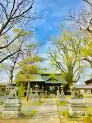 千勝神社の狛犬