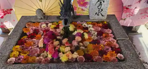 札幌諏訪神社の手水舎