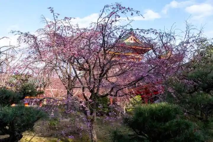 平安神宮(京都府)
