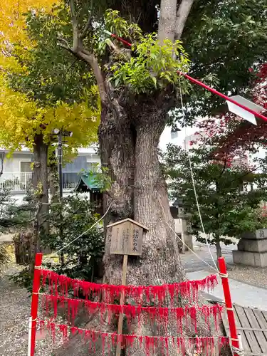 三輪神社のその他建物