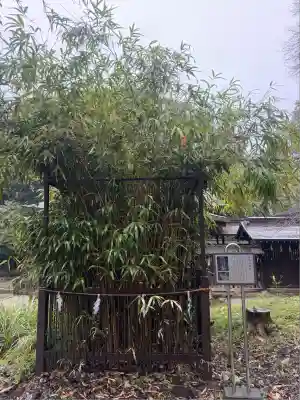 二宮神社(東京都)