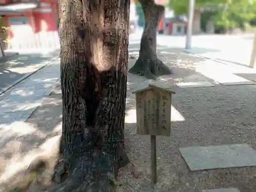 御霊神社の自然