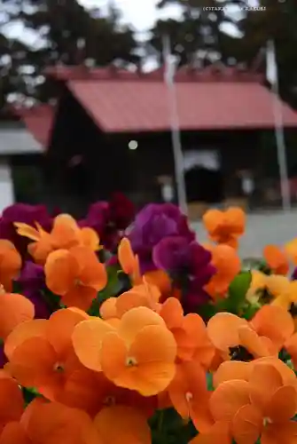 宇都母知神社(神奈川県)