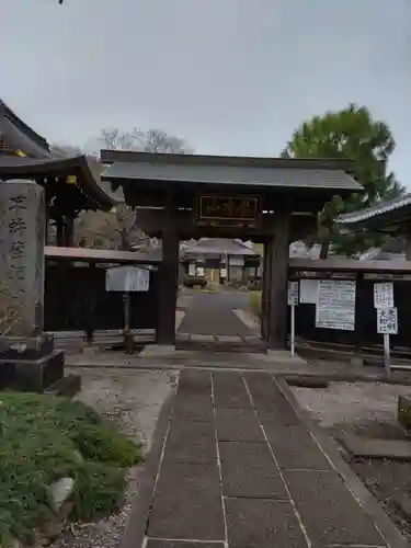 智観寺の山門