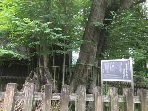 小室浅間神社(山梨県)