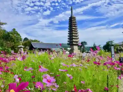 般若寺 ❁コスモス寺❁の塔