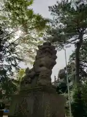 上高田氷川神社の狛犬