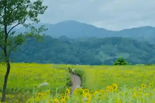 沢山神社（澤山神社)(新潟県)