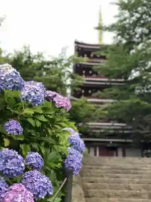 本土寺のその他建物