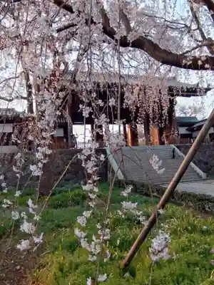 東郷寺(東京都)