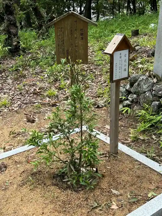 鼓岡神社(香川県)