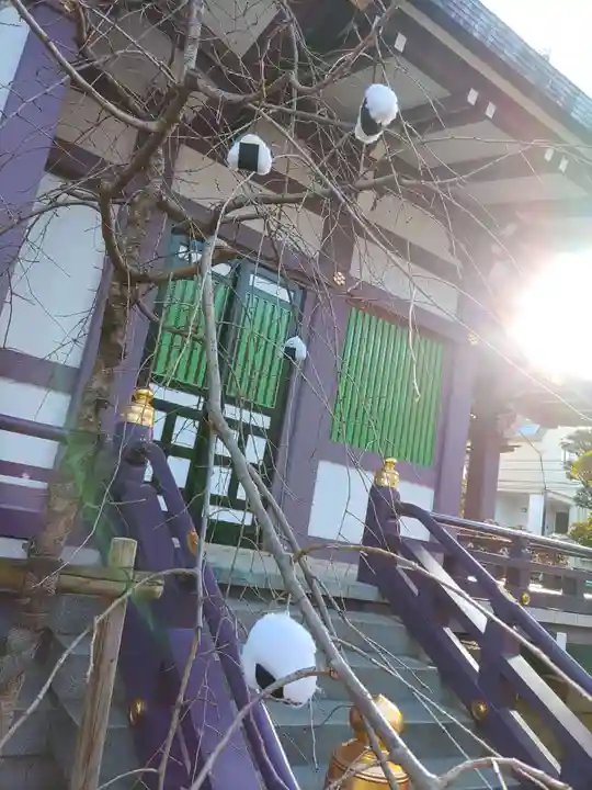 高木神社の自然