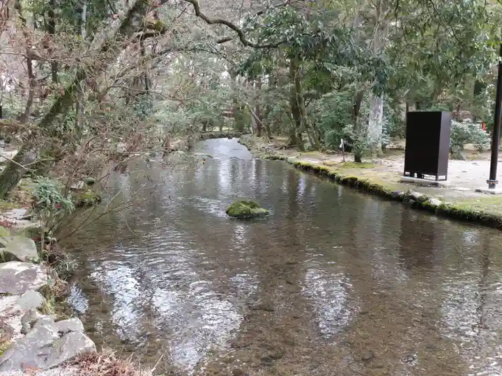 賀茂別雷神社(上賀茂神社)の自然