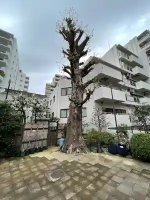 高輪神社(東京都)