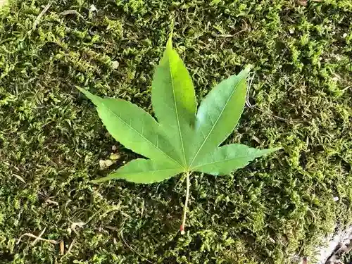 木舟山　順教寺の自然