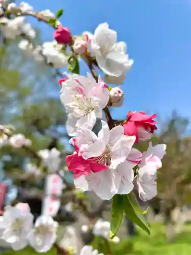 伊達神社の自然