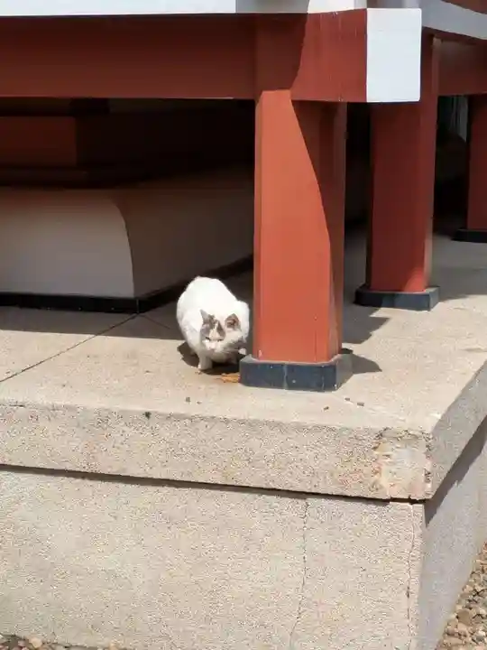 柏諏訪神社(千葉県)