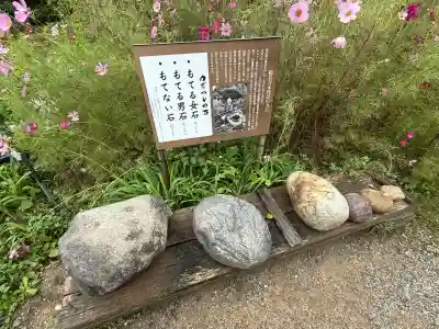 般若寺 ❁﻿コスモス寺❁(奈良県)
