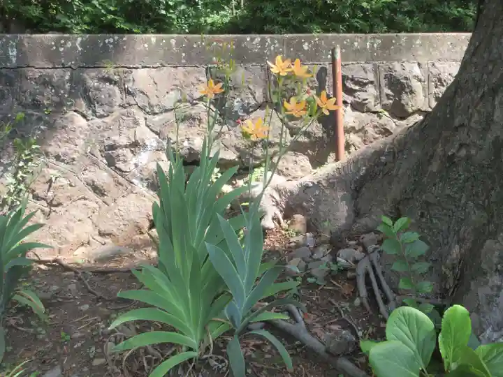 五所神社(神奈川県)