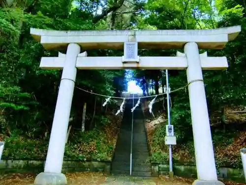 吉田杉山神社の鳥居