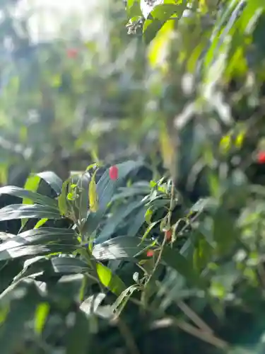 叶神社（東叶神社）の自然