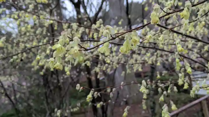 石山寺(滋賀県)