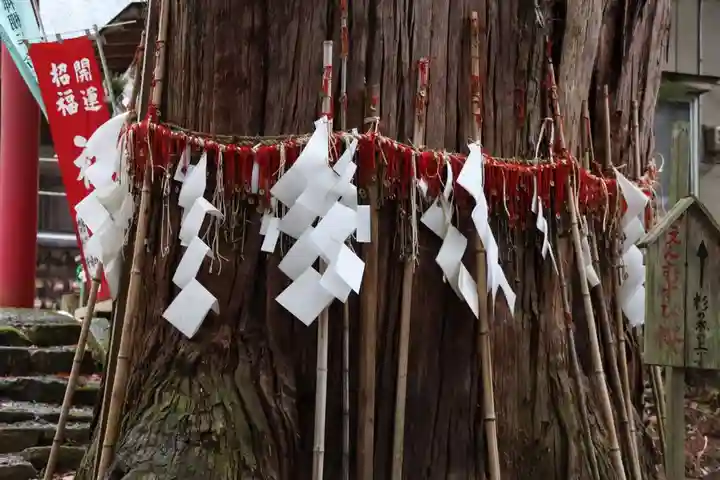 磐椅神社の自然