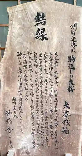 神藏寺の御朱印